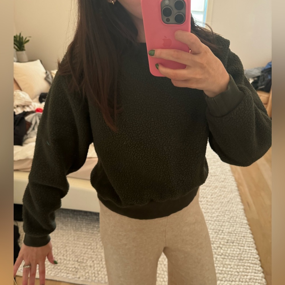 Everlane forest green teddy sweater (small)